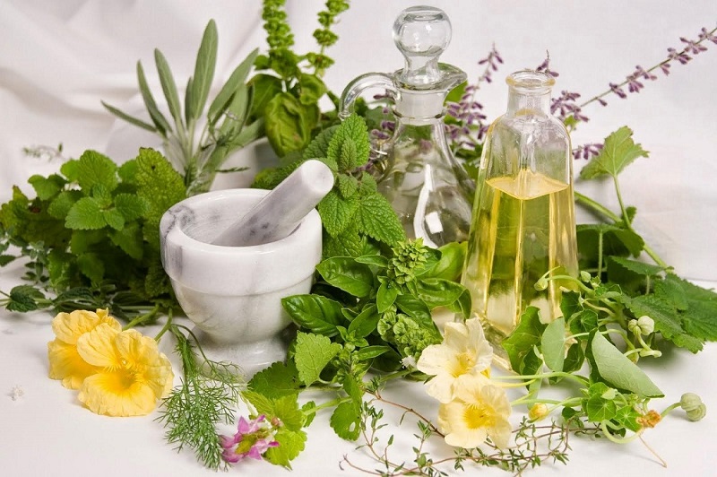 Dầu gội hữu cơ sử dụng các thành phần tự nhiên