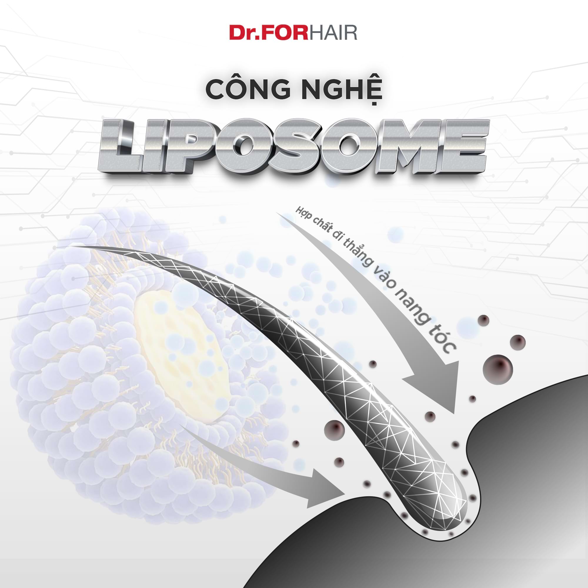 Folligen Original sử dụng Công nghệ độc quyền Liposome đưa hợp chất vào thẳng nang tóc