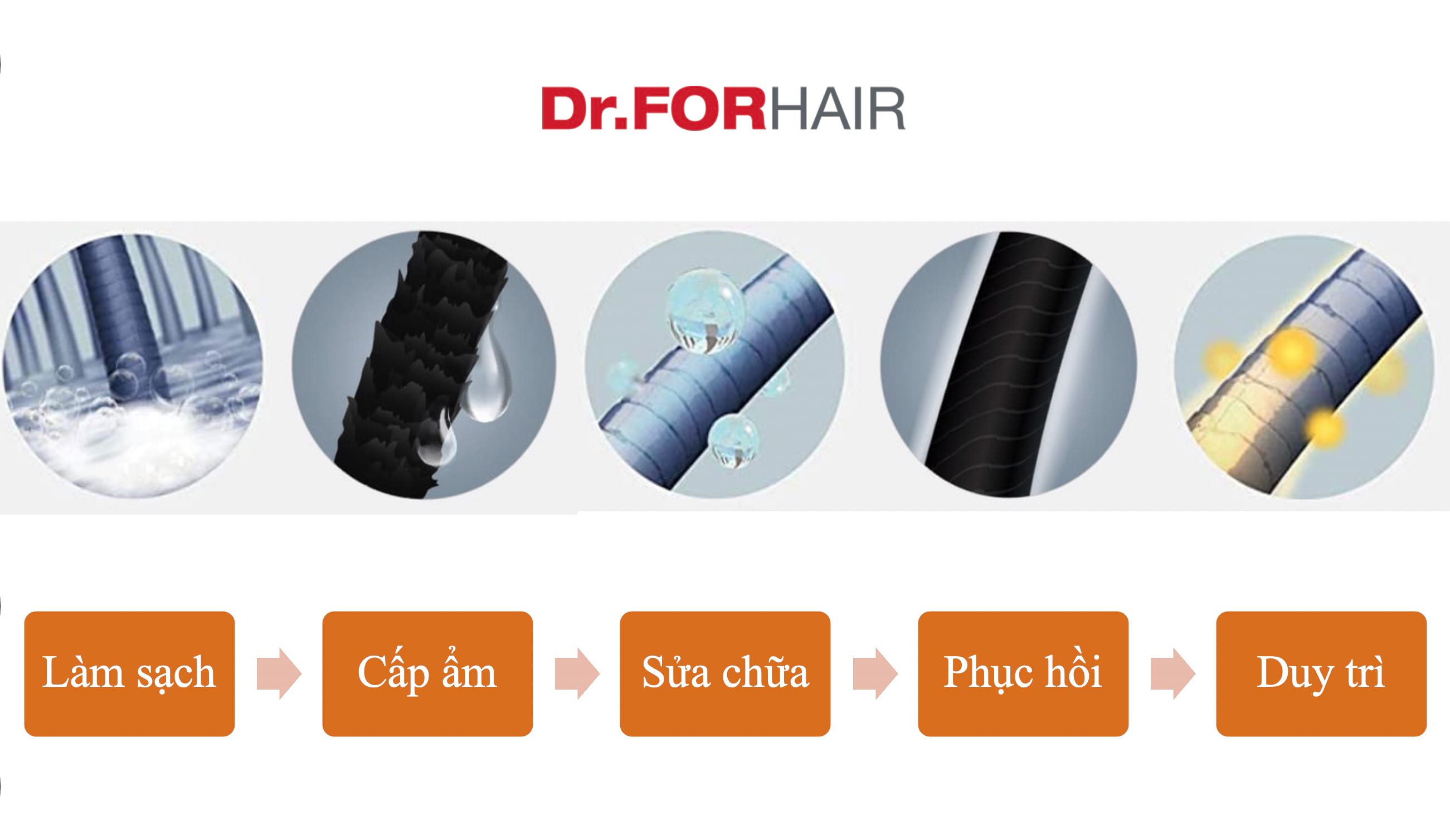 dầu gội phục hồi