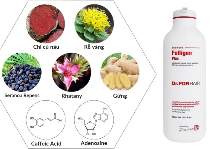 dau goi gung han quoc tot nhat