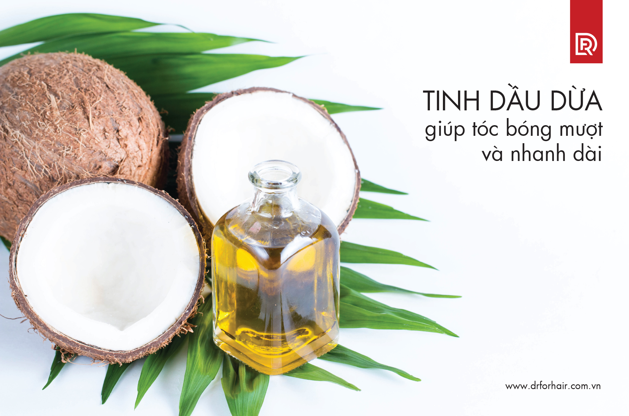 Tinh dầu dừa giúp tóc bóng mượt và nhanh dài