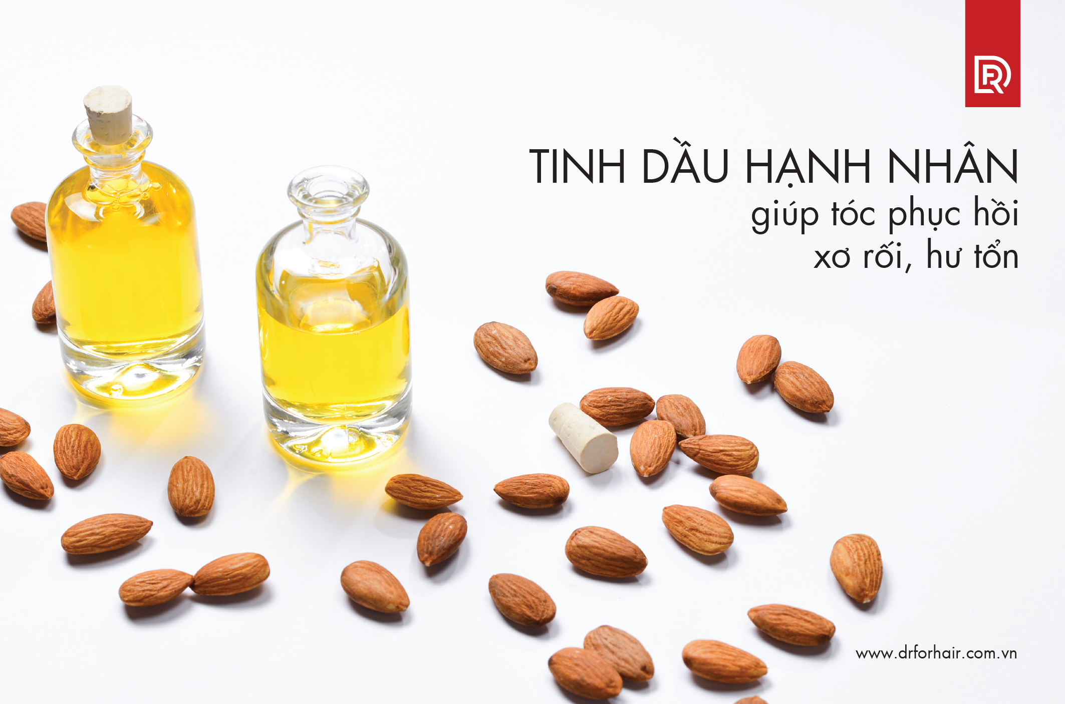 Tinh dầu hạnh nhân giúp tóc phục hồi xơ rối, hư tổn