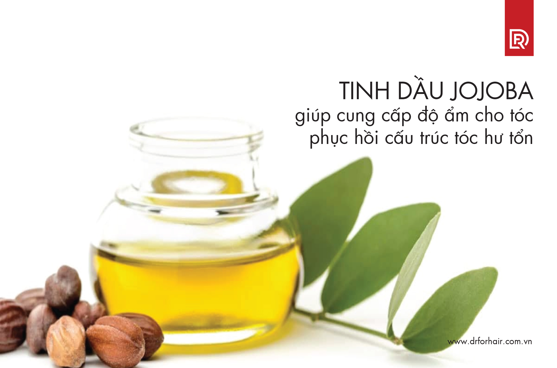 Tinh dầu jojoba