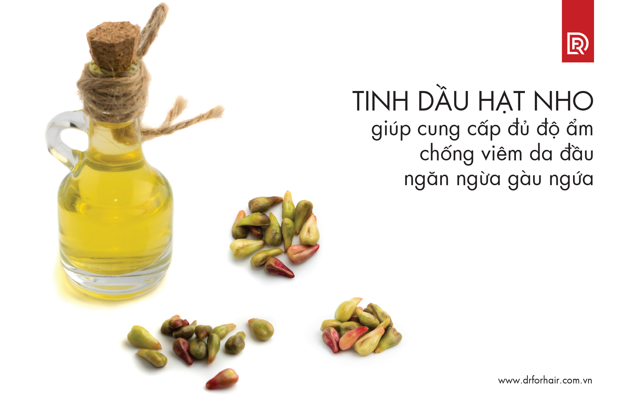 tinh dầu hạt nho