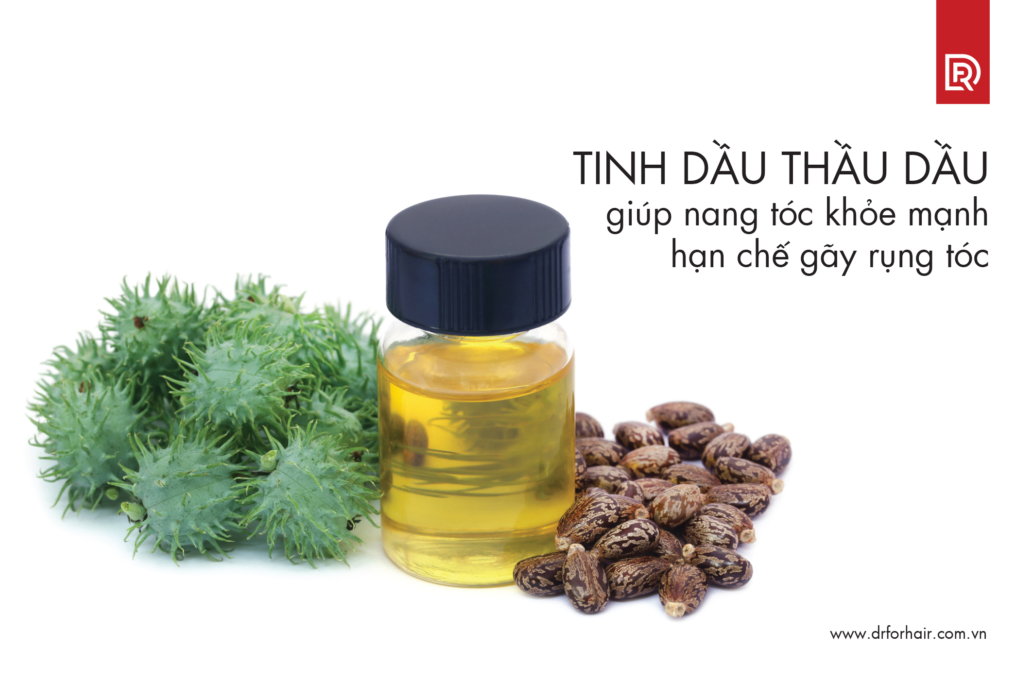 tinh dầu thầu dầu