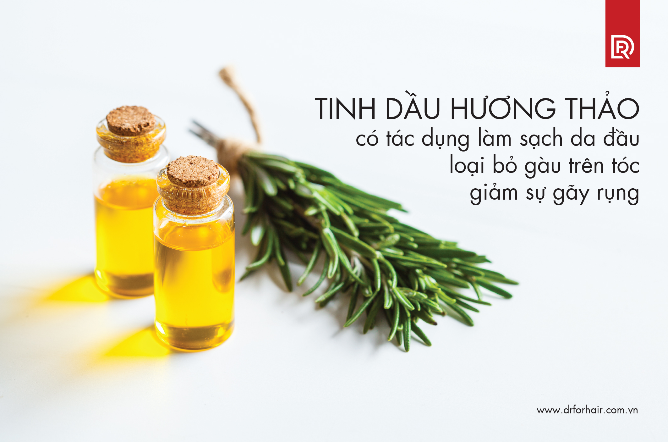 tinh dầu hương thảo