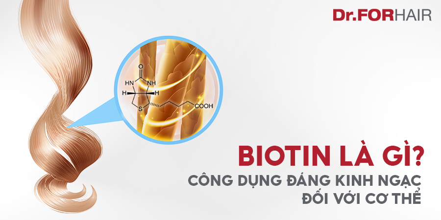 Biotin là gì? Công dụng của Biotin đối với cơ thể quan trọng như thế nào?