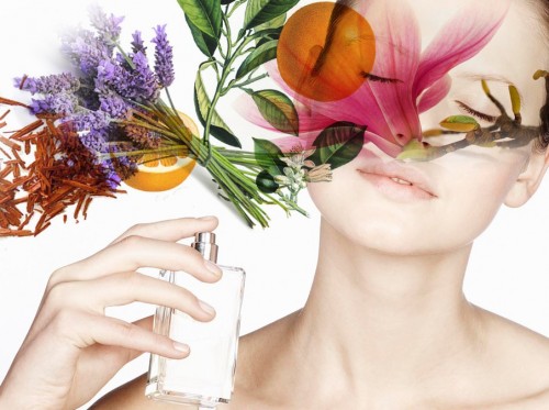 huong nuoc hoa han quoc