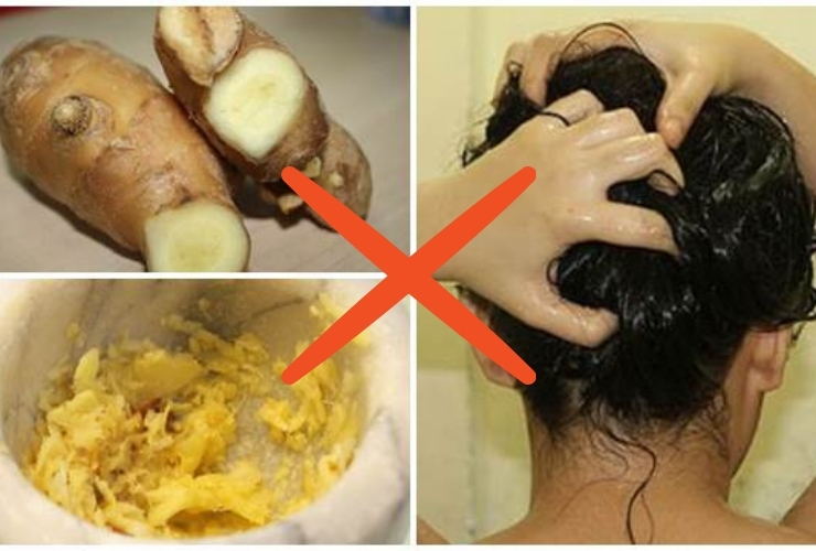 không nên thử sử dụng dầu gội gừng