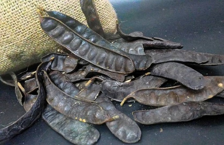 sau-khi-nhuom-tranh-thanh-phan-bo-ket