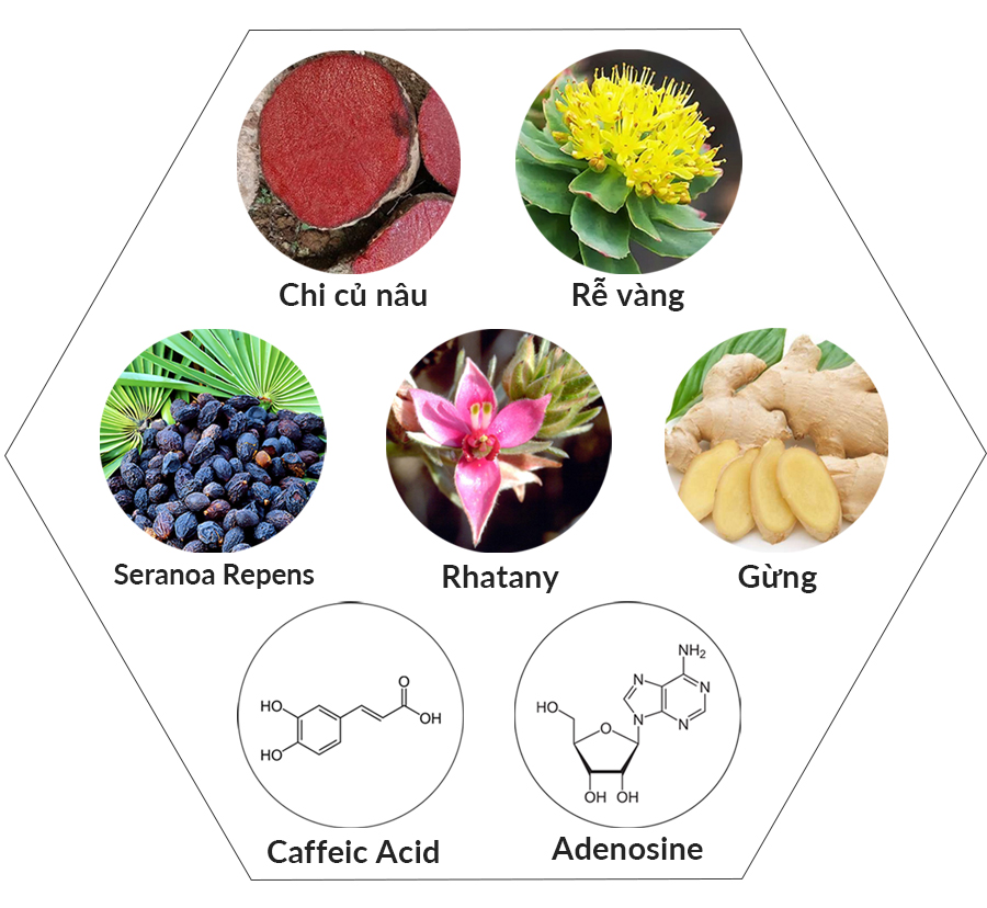 thanh phần dầu gội Hàn Quốc tót nhất